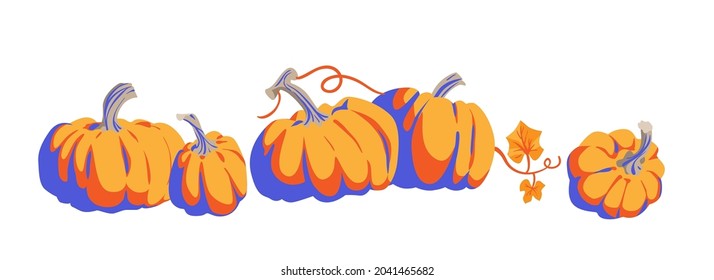 Nature vector elements. Thanksgiving symbol collection farm harvest, squash, vegetable. Pumpkins cartoon objects isolated.