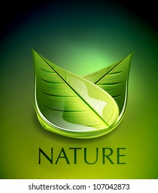 Concepto de hoja verde vectorial de la naturaleza