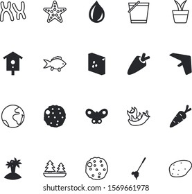 nature vector icon set such as: interior, fishing, desert, bitter, habitat, ripe, gliding, packaging, butterfly, bucket, sow, global, chilli, flower, shell, competition, genetic, long, mexican, conch