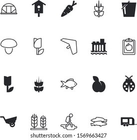 nature vector icon set such as: air, ecology, slice, journey, habitat, glasses, pail, leek, birdhouse, purple, eggplant, lettuce, lotus, hydroelectric, person, solar, ground, plums, housework