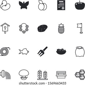 nature vector icon set such as: thai, roof, board, mushrooms, arrangement, pendant, seat, game, aquarium, dinner, craft, bee, sea, experiment, ear, birdhouse, blossom, shadow, ananas, necklace