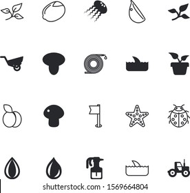nature vector icon set such as: citrus, carry, pendant, season, ladybug, flying, garlic, hygiene, fruits, flowerpot, bottle, home, decorative, irrigation, happy, ripe, transportation, domestic, conch