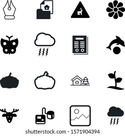 nature vector icon set such as: capsule, sale, finance, floral, card, reindeer, grow, signs, ornament, photo, year, cultivation, leaf, new, traffic, tonometer, equipment, sprout, colorful, fitness