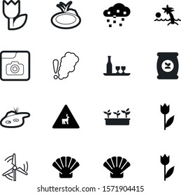 nature vector icon set such as: palm, blank, smart, phosphate, season, a, liquid, smokestack, growth, coconut, album, liquor, wildlife, mill, film, safety, road, island, cigarette, stones, travel