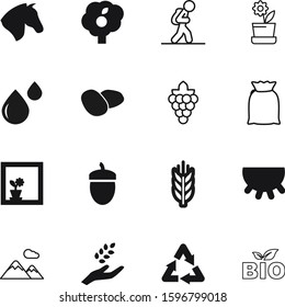 nature vector icon set such as: vegetable, grapes, stem, hill, drop, water, grapevine, season, set, window, hiker, sweet, pattern, acorn, meal, crops, hiking, race, doodle, pack, cereals, vacation