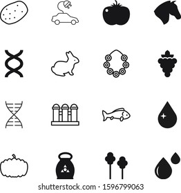 nature vector icon set such as: logotype, necklace, head, ingredient, celebration, hawaii, grape, fruit, chemical, wreath, gene, transport, grapes, nitrogen, code, building, car, tree, nutrition