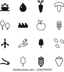nature vector icon set such as: snack, branch, seedling, set, cap, mushroom, berry, drop, care, electric, antique, wind, growing, tuft, walnut, sunflower, aqua, sprout, outline, energy, mill
