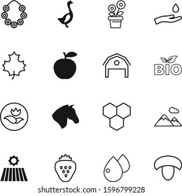 nature vector icon set such as: sliced, top, cartoon, north, america, fuel, landscape, strawberry, national, flora, hawaii, pattern, rain, growing, vacation, vitamin, herbal, blood, diet, growth