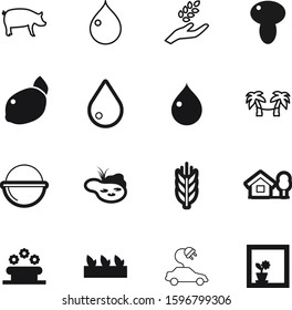 nature vector icon set such as: seedling, decoration, cauldron, outdoor, domestic, crops, dinner, fruit, pig, cleaning, pot, piglet, hybrid, heat, blossom, technology, flora, edible, hammock, sea