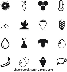 nature vector icon set such as: grapevine, farm, grow, raw, cooking, delicious, photo, picture, yellow, comic, sugar, barley, lamb, ripe, growth, grapes, life, vineyard, solar, power, season, snap