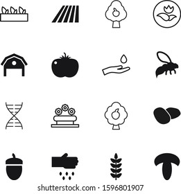 nature vector icon set such as: oak, chain, nut, meal, water, mushroom, energy, web, sow, seeds, dna, blue, field, fields, heredity, strand, honeybee, growing, gardening, save, hay, bed, medical, rye