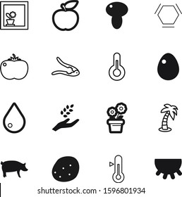 nature vector icon set such as: egg, molecule, cleaning, pig, model, ingredient, molecules, island, grow, growing, shell, grain, eat, autumn, harvest, piggy, sea, potato, meal, control, udder