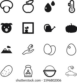 nature vector icon set such as: electricity, flora, snack, blossom, pumpkin, hospital, beauty, fruit, picnic, mountains, boiled, land, clinic, breakfast, halloween, irrigation, trip, eat, celsius