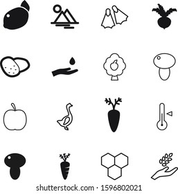 nature vector icon set such as: sun, dessert, beet, animal, clean, honeycomb, human, freshness, recreation, canada, trip, pattern, closeup, potatoes, lines, farm, beetroot, bird, ear, mountains