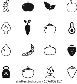 nature vector icon set such as: medicine, hiking, touristism, garden, fitness, orange, pumpkin, color, berry, liquid, season, fertilizer, lines, tasty, baggage, gardening, nitrogen, droplet, weather