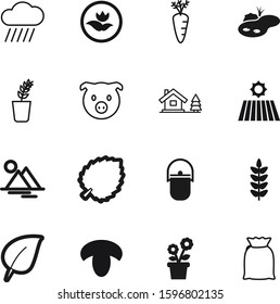 nature vector icon set such as: meteorology, spike, top, hut, hill, roof, set, face, pack, hot, sprout, weather, dinner, edible, garden, lines, meat, log, gardening, lodge, soil, recycling, piglet