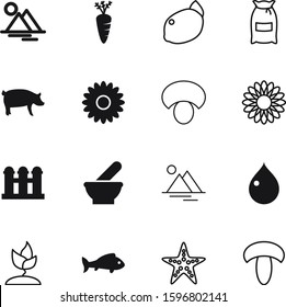nature vector icon set such as: blue, warehouse, shell, liquid, grow, aquarium, cooking, young, environment, hog, ingredient, flour, pork, piggy, pharmacy, eco, pig, veggie, mammal, blood, space, oil