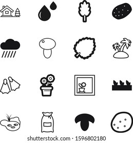 nature vector icon set such as: pack, seascape, botanical, liquid, pattern, hut, flippers, cottage, palm, vitamin, feed, swamp, botanic, sliced, snorkeling, botany, education, trees, forecast, drop
