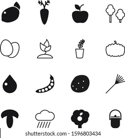nature vector icon set such as: flower, outline, campfire, climate, wild, liquid, root, watering, weather, animal, landscape, meteorology, protein, dessert, tourist, hot, rake, picnic, drip, blood