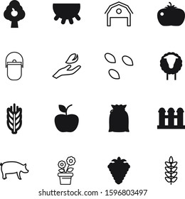 nature vector icon set such as: livestock, bread, botanical, fitness, pork, environment, dinner, park, piglet, sesame, cow, cereals, fire, tourist, graphic, snack, berry, tomato, eid, hog, simple