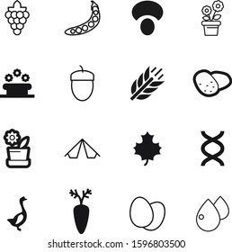 nature vector icon set such as: bed, cereals, oil, drop, sugar, modern, canadian, travel, north, relaxation, fruit, wine, activity, clinic, grass, label, fall, veggie, genetic, molecule, peas