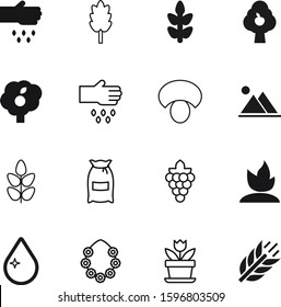 nature vector icon set such as: oil, care, edible, top, fiber, cartoon, fruits, ladder, vegetable, box, raindrop, young, lei, shape, wreath, bag, pot, corn, brown, flora, growing, vine, hill, florist