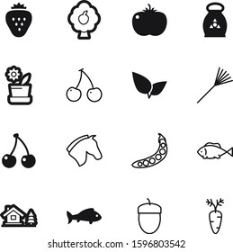 nature vector icon set such as: drawing, exterior, wood, autumn, nitrogen, bag, outdoor, cottage, oak, building, sugar, work, house, pot, decorative, legume, care, real, equestrian, ingredient, nut