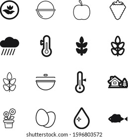 nature vector icon set such as: grow, climate, bonfire, art, halloween, cabin, growth, dinner, environmental, raindrop, pan, botanic, botany, house, cloud, travel, cottage, lodge, home, berry