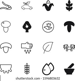 nature vector icon set such as: clinic, knowledge, estate, antique, garden, fruit, trees, medicinal, life, icons, mortar, decoration, planting, ear, ecological, cob, nut, treatment, nutcracker, cap
