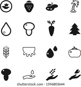 nature vector icon set such as: earth, sand, stones, rest, bread, icons, tomatoes, modern, grass, drawing, clean, spica, sweet, spruce, sea, sky, tasty, cleaning, crops, outdoor, holiday, juicy