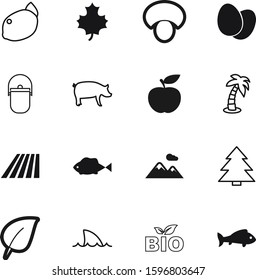 nature vector icon set such as: shadow, mushrooms, knowledge, palm, holiday, hand, citrus, raw, wild, mushroom, recycling, fin, web, flower, north, hot, icons, field, growth, freshness, mammal, lemon