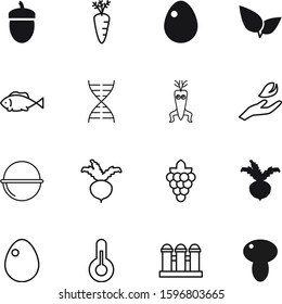 nature vector icon set such as: ripe, orange, spiral, oak, floral, sea, cell, grapevine, grape, curve, heredity, chemistry, growth, mushroom, round, ocean, filled, vineyard, mushrooms, spa, fire
