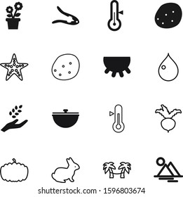 nature vector icon set such as: antique, soup, art, rabbit, crop, fish, shiny, pumpkin, tropic, trees, flora, metal, one, cook, celebration, star, october, walnut, witch, magic, grain, grow, leaf