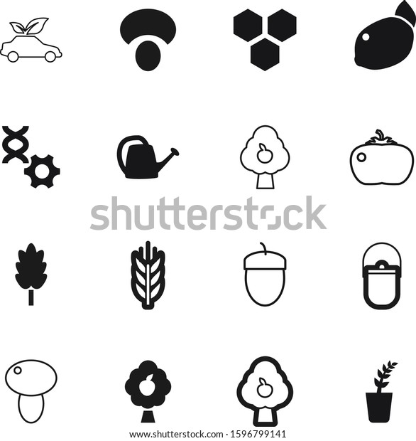 nature vector icon set such as: rye, seedling,\
environment, icons, fitness, recycling, agriculture, hexagon,\
medicine, breakfast, tourist, metal, transportation, lemon,\
pictogram, heat, camp