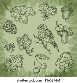 Nature. Vector illustration