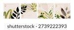Nature. Vector illustrations for graphic and web design, social media, business and marketing material. Concepts for natural and organic products, beauty and cosmetics, fashion, environment.