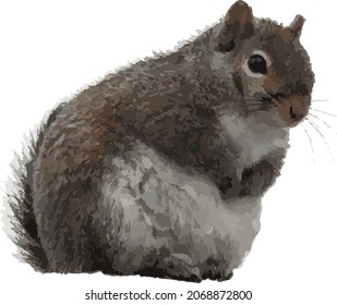 Nature Vector Image of an Isolated Cute Squirrel Animal Standing Up