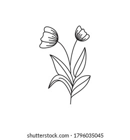 Nature vector Line drawing. Flower line illustration. Line art. One line. 




