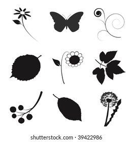 nature vector set