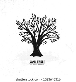  Nature. Vector silhouette oak tree on white background.  Organic food. 