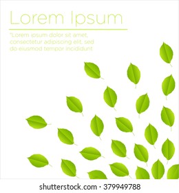 Nature Vector Template