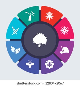 nature vector template for infographics. Business concept with 9 options, steps, parts, segments. Banner infographic cycling diagram, round chart, Beech, Baobab, Astrantia, Aster, Anthurium icons