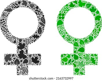 Nature Venus symbol icon composition of herbal leaves in green and natural color tints. Ecological environment vector concept for Venus symbol icon.