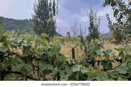nature and village scenery in autumn. vineyards.