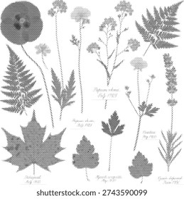 nature visual black white monochrome leaves radiant foliage halftone illustration poster