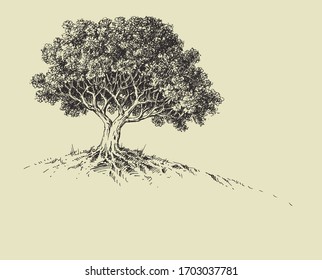 Nature wallpaper  tree in bloom hand drawing