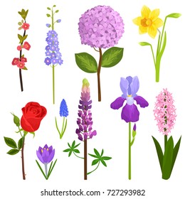 Nature watercolor art flowers wreath illustration greeting holidays card vector