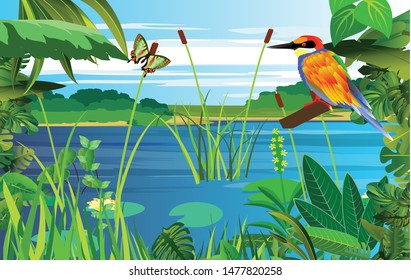 Nature wildlife scene background with  plants and kingfisher bird.  floral frame on river landscape. Vector