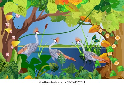 Nature, wildlife scene, grey cranes on the river water, trees and grass frame, vector