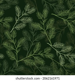 Nature winter seamless vector pattern. Pine branches on dark background. 